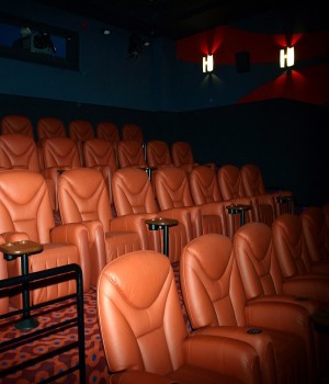 Program Cinema City Cotroceni VIP 13 – 19 martie 2014 Program Cinema City Cotroceni VIP 13 – 19 martie 2014