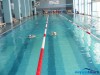 Club Sportiv Aquateam