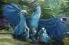 Rio 2