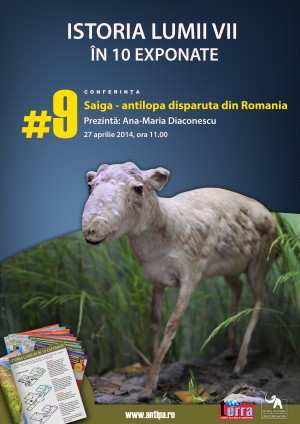 Saiga – antilopa disparuta 