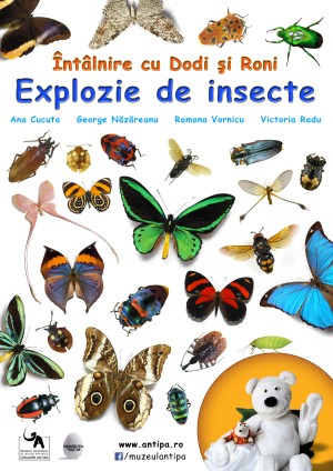 Intalnire cu Dodi si Roni: Explozie de insecte