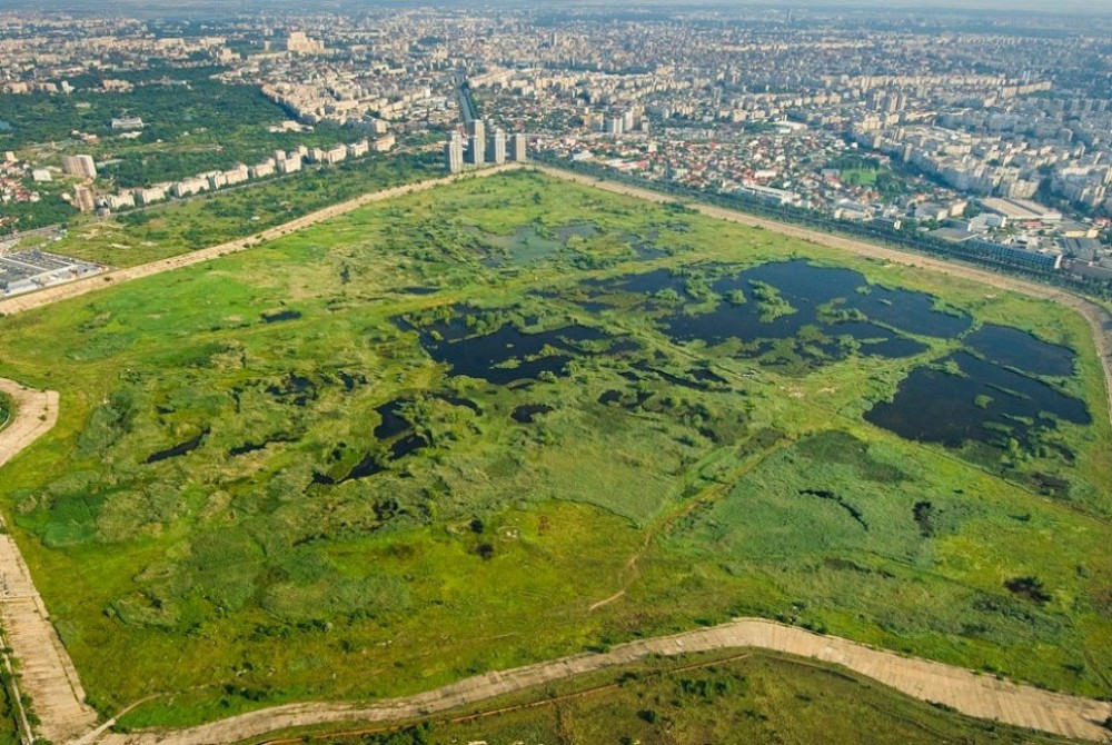 Traseu pentru biciclete, în Parcul Natural Văcărești. În ce condiții au acces copiii