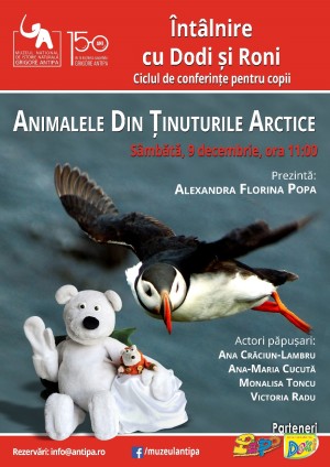 Animale din ținuturile arctice, la Muzeul Antipa Animale din ținuturile arctice, la Muzeul Antipa