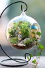 Terrarium pentru copii: Lumea poveștilor într-un bol de sticlă