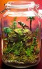 Terrarium pentru copii: Lumea poveștilor într-un bol de sticlă