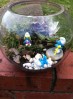Terrarium pentru copii: Lumea poveștilor într-un bol de sticlă