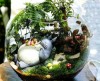 Terrarium pentru copii: Lumea poveștilor într-un bol de sticlă