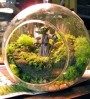 Terrarium pentru copii: Lumea poveștilor într-un bol de sticlă