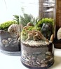 Terrarium pentru copii: Lumea poveștilor într-un bol de sticlă