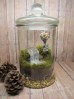Terrarium pentru copii: Lumea poveștilor într-un bol de sticlă