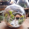 Terrarium pentru copii: Lumea poveștilor într-un bol de sticlă