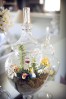 Terrarium pentru copii: Lumea poveștilor într-un bol de sticlă