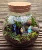Terrarium pentru copii: Lumea poveștilor într-un bol de sticlă