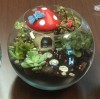 Terrarium pentru copii: Lumea poveștilor într-un bol de sticlă