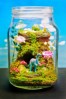 Terrarium pentru copii: Lumea poveștilor într-un bol de sticlă