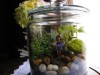 Terrarium pentru copii: Lumea poveștilor într-un bol de sticlă