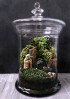 Terrarium pentru copii: Lumea poveștilor într-un bol de sticlă