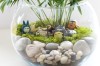 Terrarium pentru copii: Lumea poveștilor într-un bol de sticlă