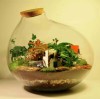 Terrarium pentru copii: Lumea poveștilor într-un bol de sticlă