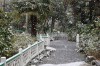 Lumea poveștilor în zăpadă!  Ninsoarea a transformat Disneyland Paris într-un tărâm de basm