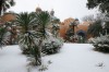 Lumea poveștilor în zăpadă!  Ninsoarea a transformat Disneyland Paris într-un tărâm de basm