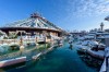 Lumea poveștilor în zăpadă!  Ninsoarea a transformat Disneyland Paris într-un tărâm de basm