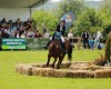 Poneii reiau spectacolul ecvestru la Karpatia Pony Show 2018, ediția a II-a