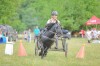 8.000 de spectatori și peste 100 de cai și ponei la primul eveniment ecvestru cu desfășurare pe 2 arene de spectacole