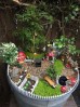 Grădini în ghivece pentru copii. Cum poți transforma plantele în povești