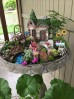 Grădini în ghivece pentru copii. Cum poți transforma plantele în povești