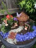 Grădini în ghivece pentru copii. Cum poți transforma plantele în povești