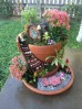 Grădini în ghivece pentru copii. Cum poți transforma plantele în povești
