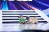 Magie și dresură de câini, teatru de păpuși și acrobații la bară,  într-o nouă ediție “Next Star”