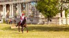 Karpatia Horse Show împlinește 5 ani de când și-a deschis porțile spectatorilor! 