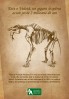 Uriașul Deinotherium vine la Muzeul Antipa