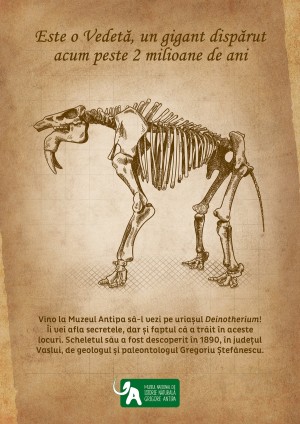 Uriașul Deinotherium vine la Muzeul Antipa
