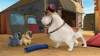 Ziua Sofiei I, sărbătorită la Disney Junior pe 8 martie