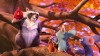 The Nut Job: Goana dupa alune