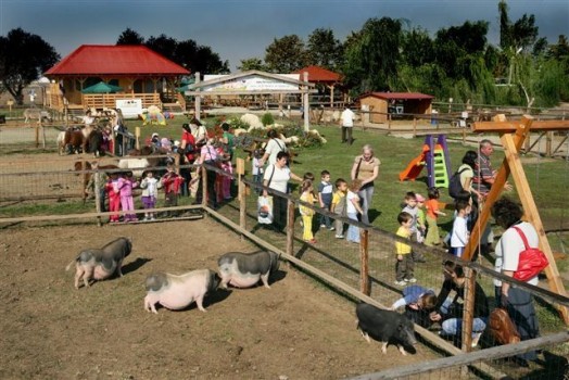 Ferma Animalelor
