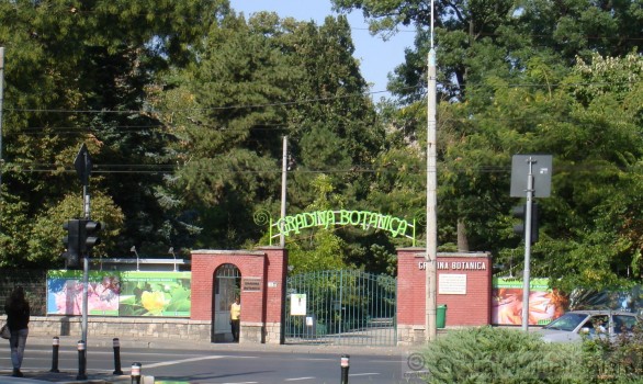 Gradina Botanica Dimitrie Brandza