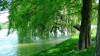 Parcul Al. I. Cuza